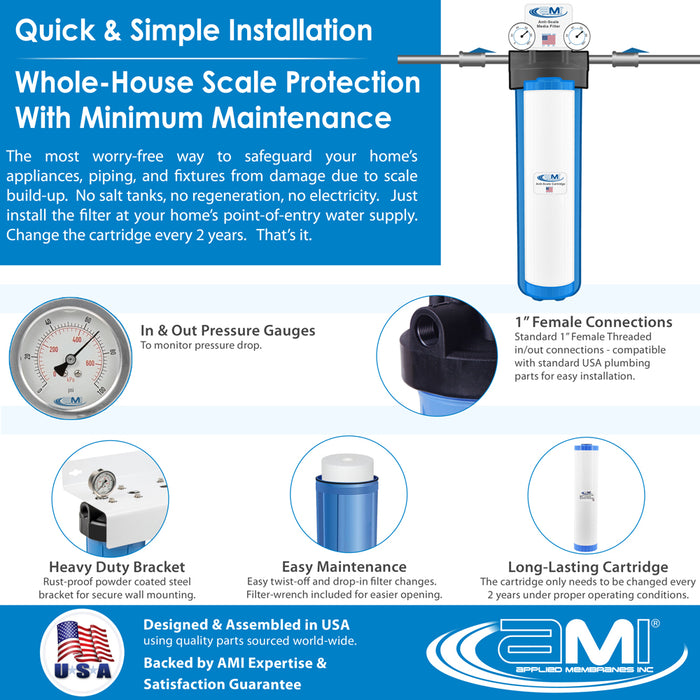 Anti-Scale System for Tankless Water Heater and Whole-House Scale Protection