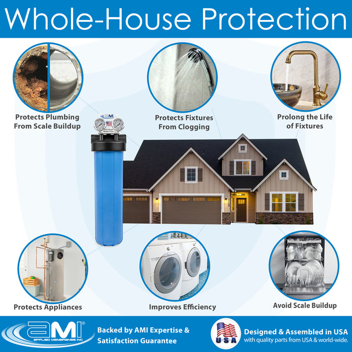 Anti-Scale System for Tankless Water Heater and Whole-House Scale Protection